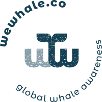 Logo wewhale
