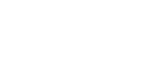 dtbird logo